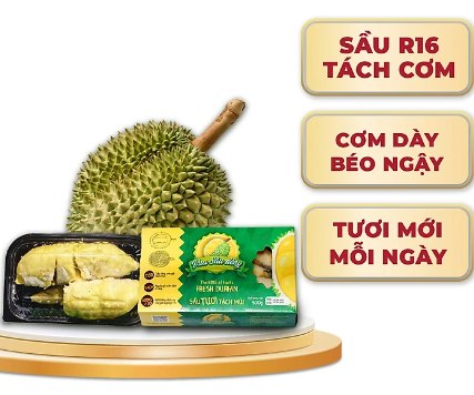 Hộp Sầu riêng Ri6 (Tách Múi Sẵn) Tươi, Hái Già, Sượng Bao Đổi Trả - Hộp 250Gr